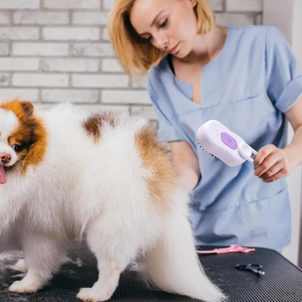 Pet Steamer Brush USB Rechargeable Cat Steamy Brush Dogs Cats Pet Hair Removal Self-Cleaning Comb for Long and Short Hair