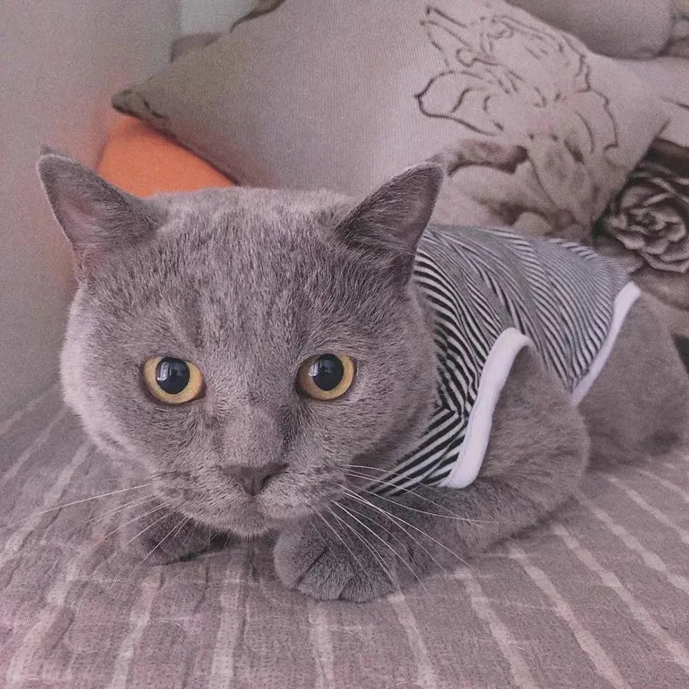 Classic Stripe Pet Cat Clothes for Cats Summer Dog Cat Vest Shirt katten kleding Kedi Suit Goods For Pets Cats Costume Clothing