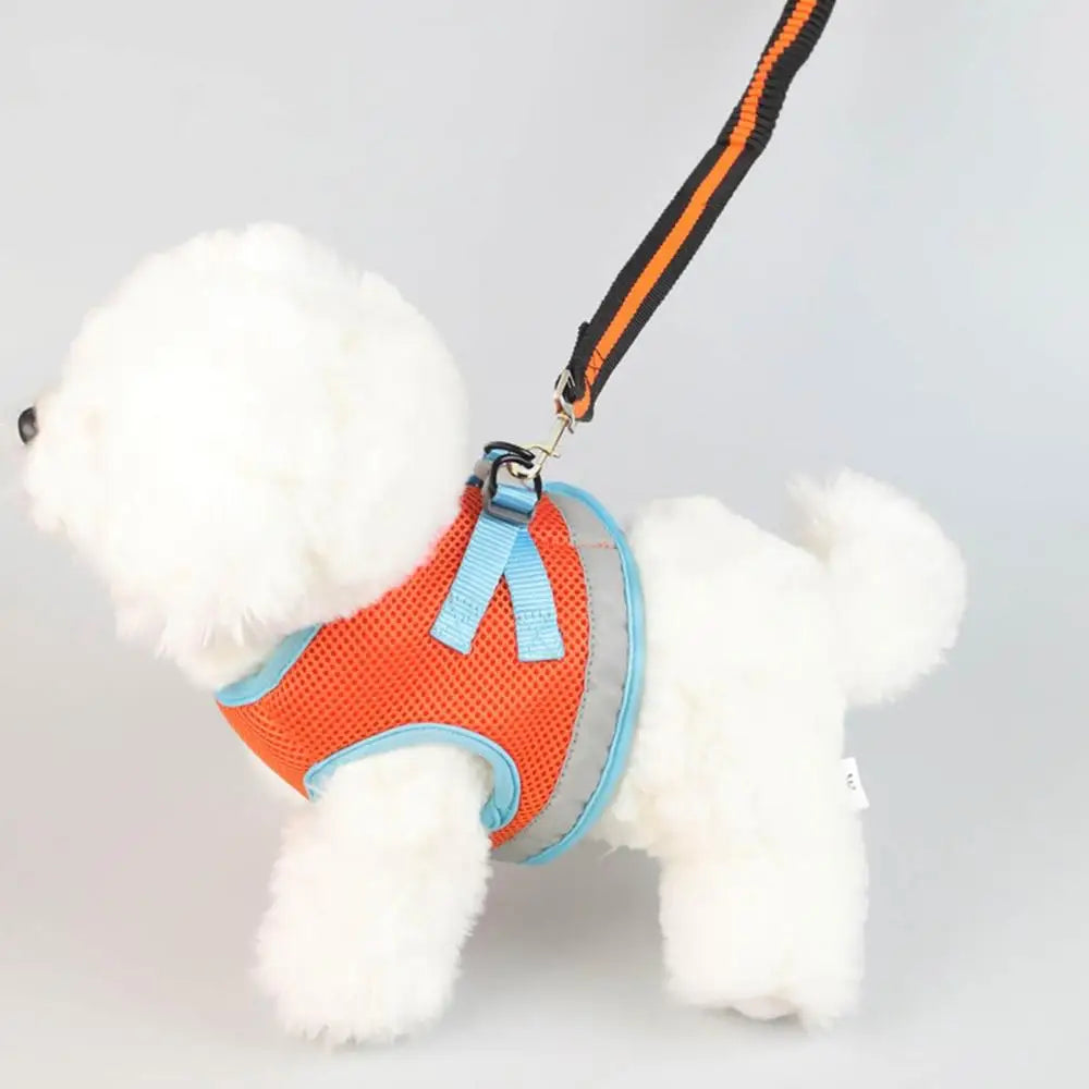 Dog Heavy Duty Durable Telescopic Nylon Dog Rope Comfortable Padded Handle Rope High-elastic Dog Safety Belt For Car