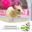 11Pcs Combination Hamsters Rabbit Toys Tunnel Set Toy Hamster Toys Set Pet Rabbit Guinea Pig Parrot Play Molar Wooden Supplies