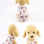 Pet Clothing Summer Sunscreen Cool Breathable Dog Vest Mesh Small Dog T-Shirt Outfit For Chihuahua Small Medium Dogs Accessories