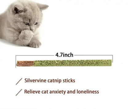 6pcs Natural Matatabi Cat Stick Mint Caught Bite Excited Rods Silvervine For Cat Teeth Cleaning Treating Pet Supply Cat Toys