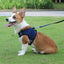 Dog Harness Dog Traction Rope Corduroy Breathable Dog Chest Strap Reflective Pet Chest Strap Walking Rope Set
