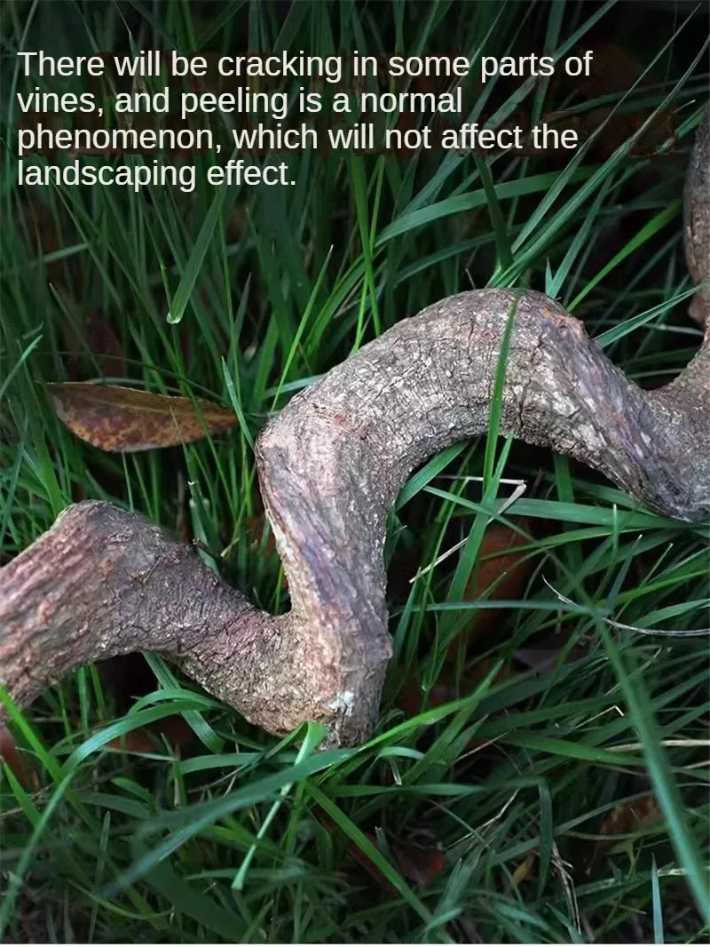 Climbing Pet Climbing Wooden Landscape Tree Vine Natural Dead Wood Crawler Rainforest Tank Tree Frog Crossing River Dragon Vine