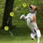 Dogs Bouncing Ball Toys Pet Interactive Cat Ball Toy Dog Chew Toys For Indoor And Outdoor Dogs Puppy Training