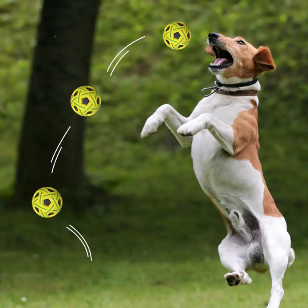 Dogs Bouncing Ball Toys Pet Interactive Cat Ball Toy Dog Chew Toys For Indoor And Outdoor Dogs Puppy Training