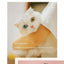 Handmade Cat Doll Bag Girl To Girl Birthday Gift Go Heart Niche Senior Practical, Cat Bag, A Variety of Ways To Use, Cute Cat