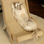 Sisal Cat Chair Wooden Cat Lounge Chair Cozy Stable Pet Furniture Pet-Friendly Multi-Functional Cat Scratcher Cat Beach Chair