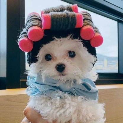 Cute Creative Pet Headdress Halloween Atmosphere Sense Wig Funny Pet Hat Pet Fashion Fun Curly Hair Photo Styling Headband Pet T
