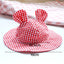 Pastoral Style Plaid Cat Hat Cute Ears Sunshade Cap for Dogs Summer Pet Headwear Unisex Outdoor Hats Chihuahua Dogs Accessories