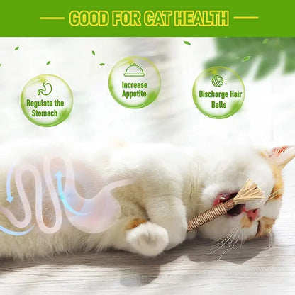 Natural Matatabi Cat Snacks Sticks Catnip Pet Cat Toys Actinidia Polygama Molar Toothpaste Stick Cleaning Teeth