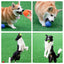 Dog Toy Rubber Ball Bite-resistant Ball Toy for Dogs Puppy Teddy Pitbull Red Color Solid Ball S-XL Pet Supplies