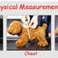 Cute Pet Dog Striped Sanitary Physiological Pants Panty In Season Diaper for Puppy Female Lovely Underwear Pet Briefs