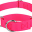 Martingale Heavy Duty Nylon Dog Collar for Small, Medium, Large Breeds Adjustable Safety Training Collar