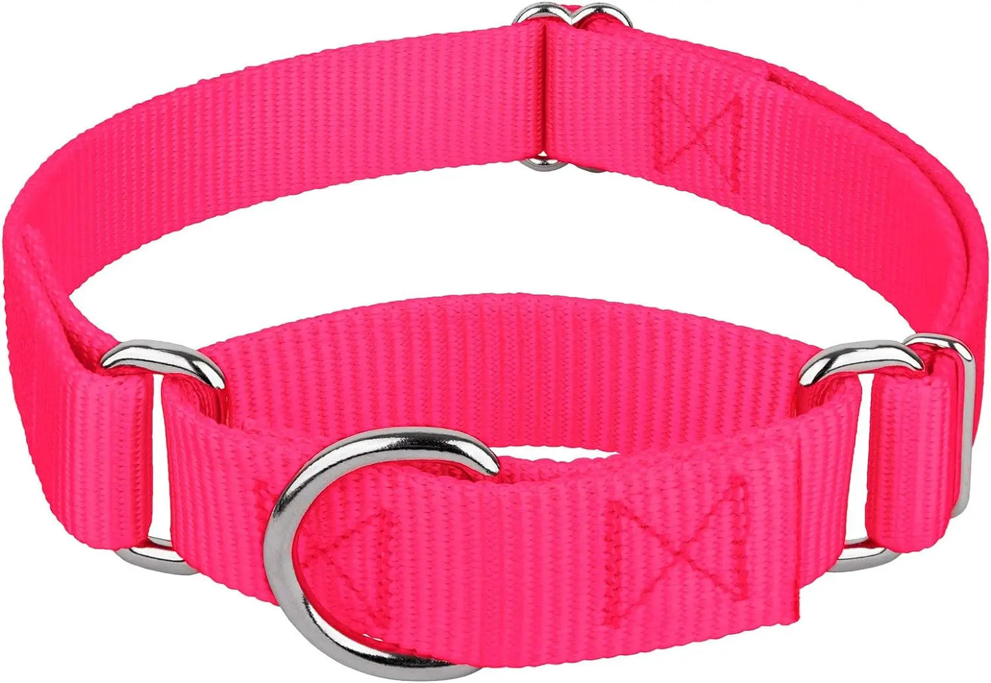 Martingale Heavy Duty Nylon Dog Collar for Small, Medium, Large Breeds Adjustable Safety Training Collar