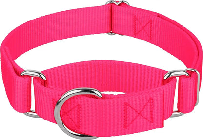 Martingale Heavy Duty Nylon Dog Collar for Small, Medium, Large Breeds Adjustable Safety Training Collar