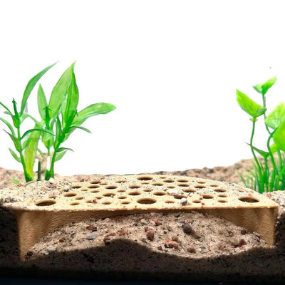 Aquarium Shrimp Breeding Cave Aquarium Hide Shrimp Tunnel Fish Hide Shrimp Breeding Protector Aquarium Decor Fish Tank Feed Tool