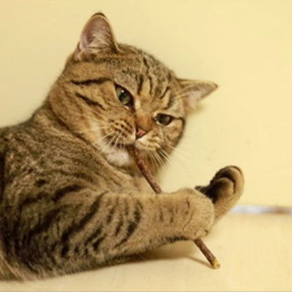 Cat Toys Catnip Chew Toys Funny Cigarette Design Cat Molar Toothpaste Stick Natural Actinidia Silvervine Pet Cat Cleaning Teeth