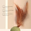 Pet Cat Mint Toy Edible Cat Mint Ball Cat Mint Cat Family Chase Game Toy Product Cleaning Teeth Cat Mint Ball