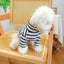 Knitting Flower Pet Dog Clothes Striped High Collar Cat Sweatshirt Autumn Winter Bottom Coat Chihuahua T Shirts for Small Dogs