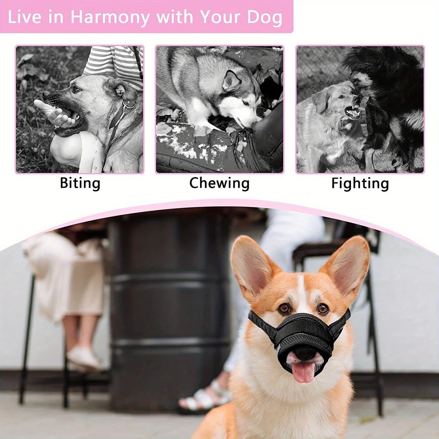 Puppy Accessories Chewing Dog Harness Barking - Essential Accessory Pets Dogs  Lanyard Collar Nylon