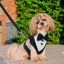 Dog Tuxedo Harness Breathable Engagement Birthday Valentines Costume Adjustable Bow Tie Pet Vest Harness for Small Medium Dogs