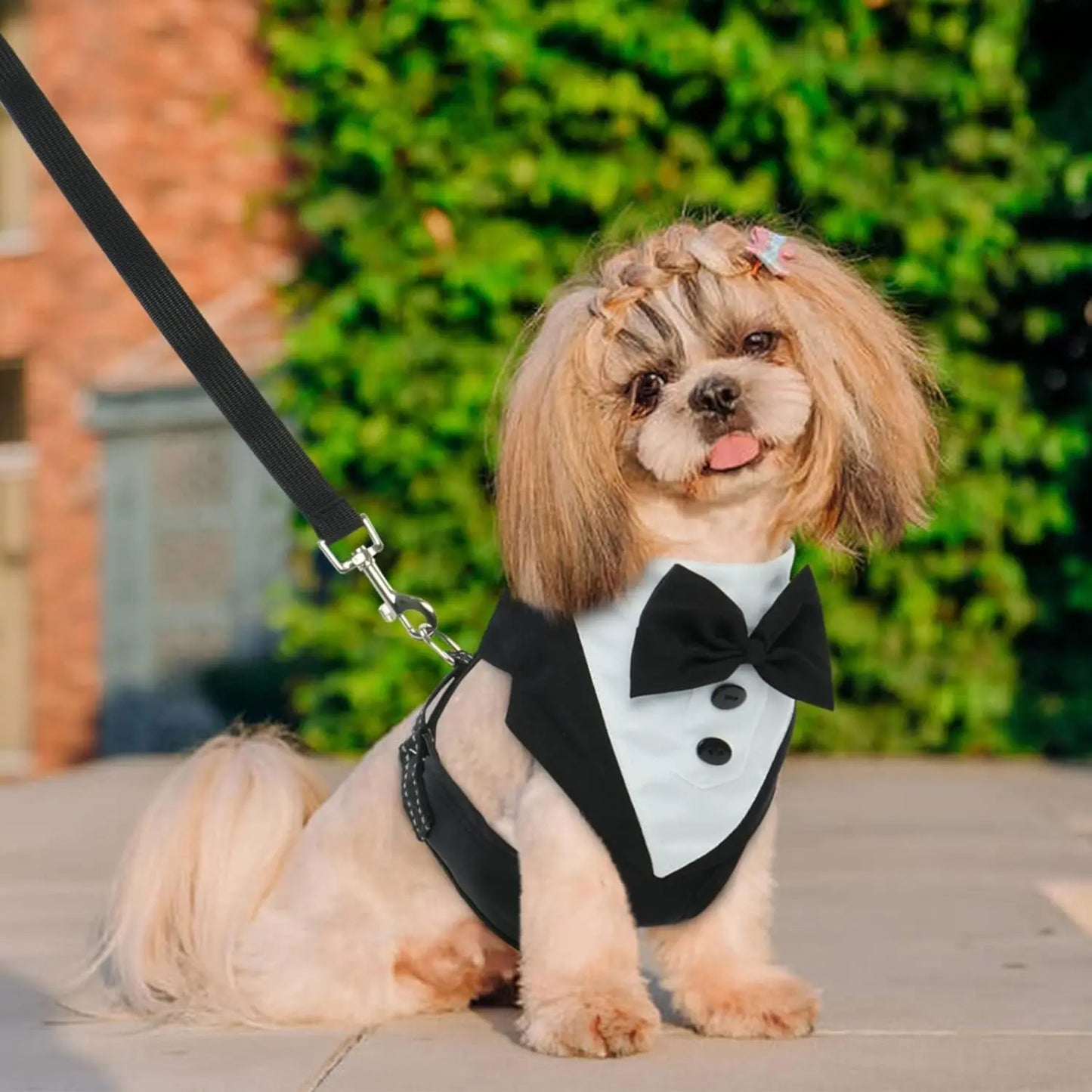 Dog Tuxedo Harness Breathable Engagement Birthday Valentines Costume Adjustable Bow Tie Pet Vest Harness for Small Medium Dogs