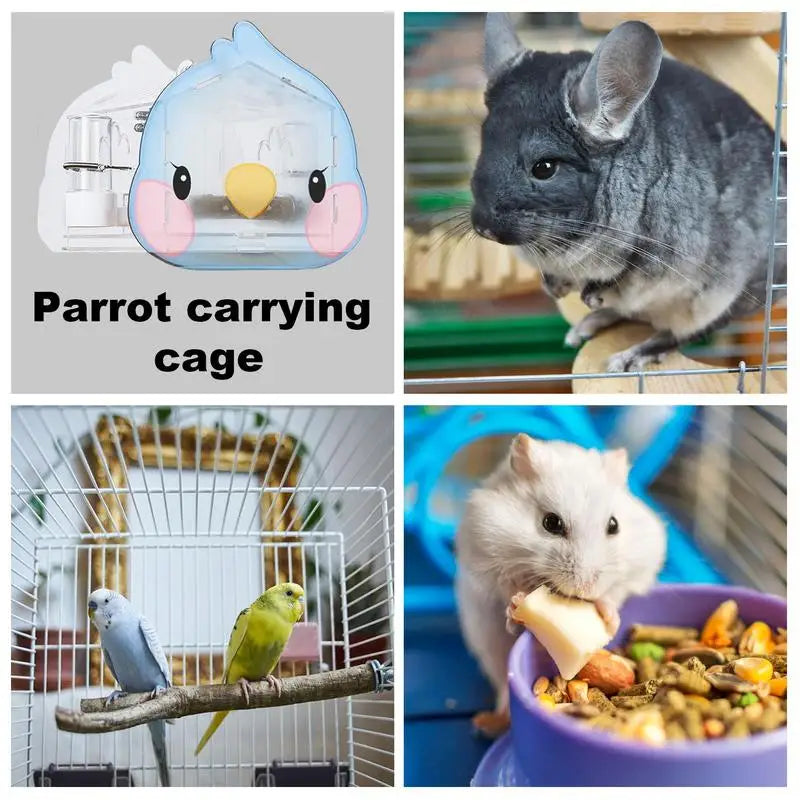 Portable Parrot Carrier Backpack For Bird Travel Cage With Wood Standing Perch Small Pet Transparent Space Capsule