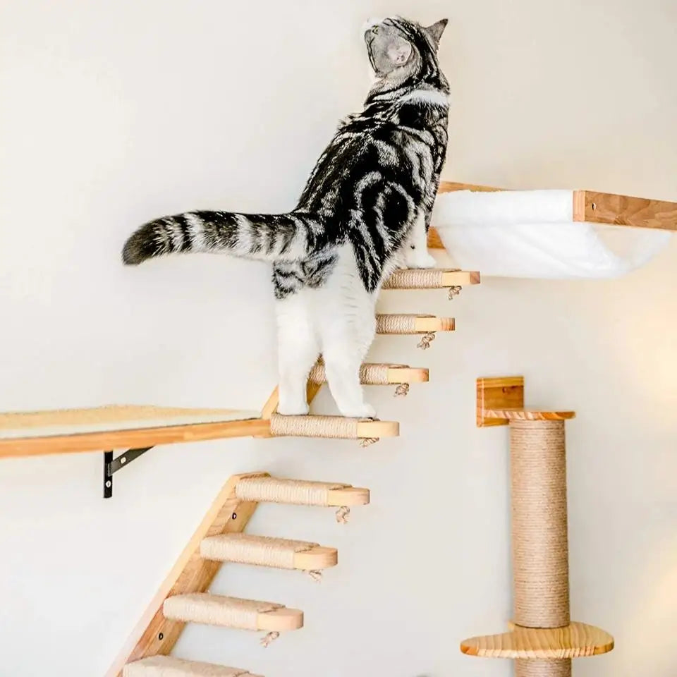 Wall Mounted Cat Shelves Wood Cat Lookout Climbing Shelf Kitten Wall Climbing Tree Furniture Four Step Stair Indoor Cat Hammock