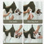 Cat Grooming Nail Cutting Anti Scratch Bite Fixed Bag Bath Trimming Restraint Bag Pet Beauty Hammock Hanging Pet Supplies