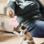 Plush Catnip Cat Toys Cat Toys With Catnip Cat Toys Kitten Toys Assortments Cartoons Style Edible Safety Healthy Catnip Toy Pet