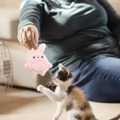 Plush Catnip Cat Toys Cat Toys With Catnip Cat Toys Kitten Toys Assortments Cartoons Style Edible Safety Healthy Catnip Toy Pet