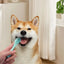 Finger Toothbrush For Dogs Cat Finger Tooth Brushes Dog Teeth Cleaning Food Grade Silicone Pet Cleaning Tools