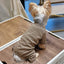 Fashion Winter Pet Dog Clothes Solid Color Cotton Dogs Sweaters Chihuahua Puppy Medium Dogs Knitting Sweatershirt Costume Gift