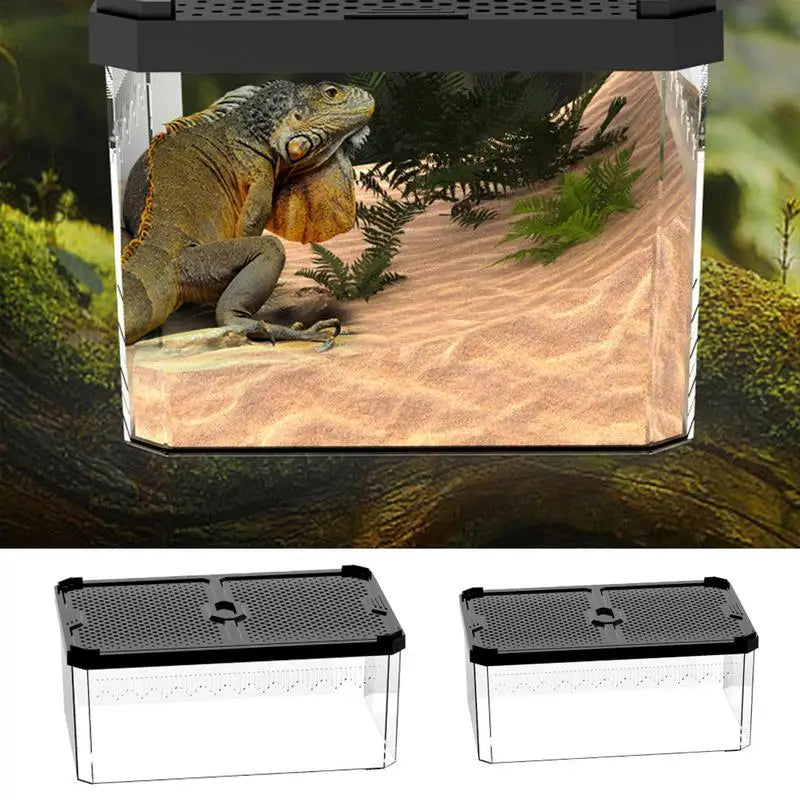 Lizard Tank Transparent Snake Tank Lizard Terrarium Small Reptile Habitat Breeding Box Amphibians Enclosure Sliding Cover Keeper