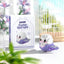 Moe Bird series building block toys assembly, table ornaments, children's educational toys, suitable for boys and girls Christma