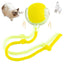 Smart Rolling Cat Toy Ball Relieve Kitten Boredom Automatic Shutoff Rechargeable Creative New Kitten Chasing Toy Electric Ball