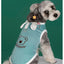 Dog clothes for small dogs Summer Comfortable Breathable T-shirt Puppy Cats Clothing Hooded Dog costume Summer chihuahua clothes