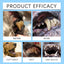 Pet Toothbrush Pen Safe Teeth Cleaning Pen Dog Toothbrushes Refreshing Pet Toothbrush Pen With Tip Design For Pet Dog Puppy Cat