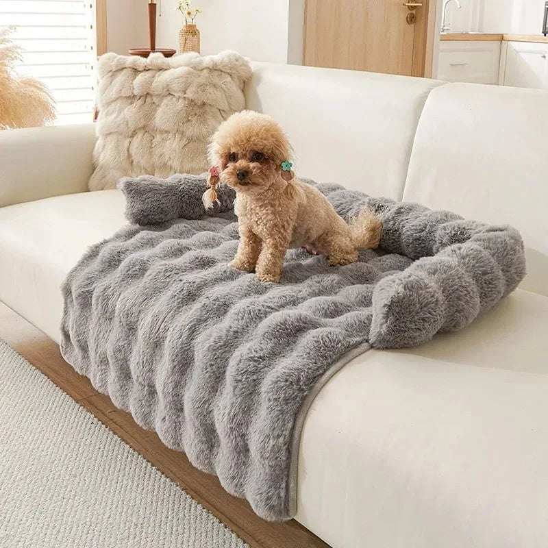 Pet Accessories Dog Bed Small Dog Baskets Puppy Breeds Dogs Medium Bedding Pets Products Large Bad Mat Cushions Beds Big Cushion