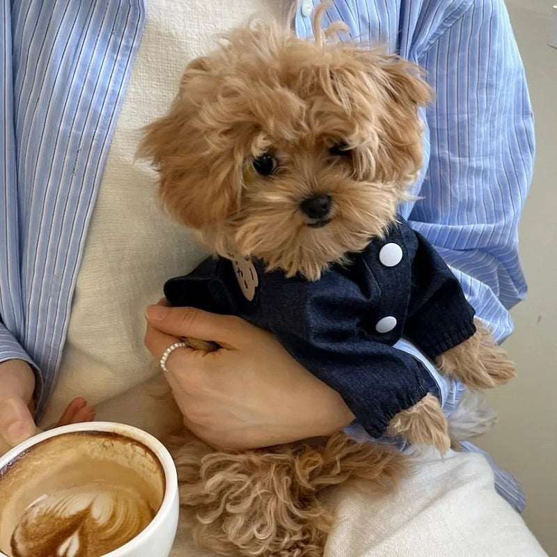 Fashion Dog Cowboy Costume Autumn Winter Dog Denim Jacket Bear Print Cardigan Pet Coat Kitten Puppy Clothing Chihuahua Pullover