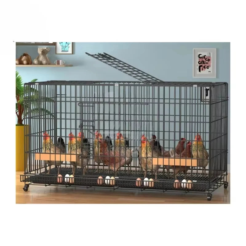 Chicken Coop Egg Laying Automatic Feces Clearing and Egg Rolling Chicken Cage Henhouse Folding Breeding Cage