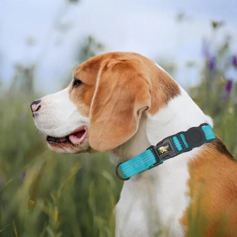 GPS Collar For Dogs Reflective Tracking Collars Reflective Dog Collar Pet Collars Adjustable For Cats Kittens Dogs Puppies