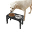 Elevated Stainless Steel Pet Feeding Bowls Height Adjustable Dog Bowl with Stand Cat Bowls Food Water Set with Two Bowls
