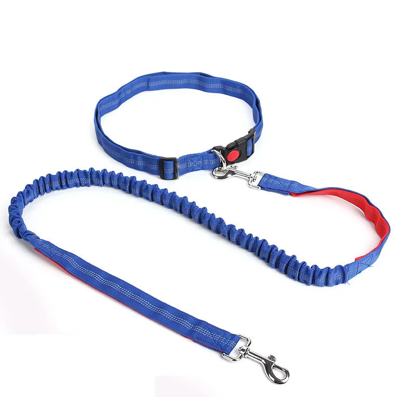 Dog Leash Supplies Free Hands Classic Harness Collar Big Pet Accessories Small Set Dogs Large Suit