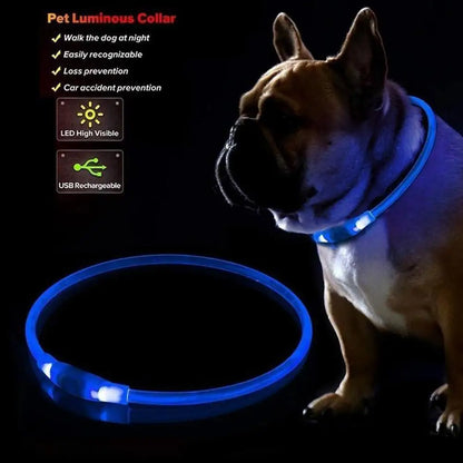 50cm LED Luminous Dog Collar Waterproof And Dustproof Visual Night Dog Walking To Prevent Lost Creative Color Dog Sub-sign Light