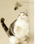 New Handfree Bird/Feather Cat Wand with Bell Powerful Suction Cup Interactive Toys for Cats Kitten Hunting Exercise Pet Products