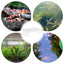 Shrimp Breeding Protector Acrylic Shrimp Breeding Cave Shrimp Tunnel Transparent Cave Shrimp Tank Decor Aquarium Tunnels