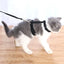 Adjustable Pet Cat Collar For Cats Cozy Nylon Rabbit Kitten Kedi Harness Leash Set Small Puppy Dog Cat Accessories Pet Products