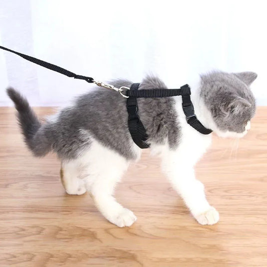 Adjustable Pet Cat Collar For Cats Cozy Nylon Rabbit Kitten Kedi Harness Leash Set Small Puppy Dog Cat Accessories Pet Products